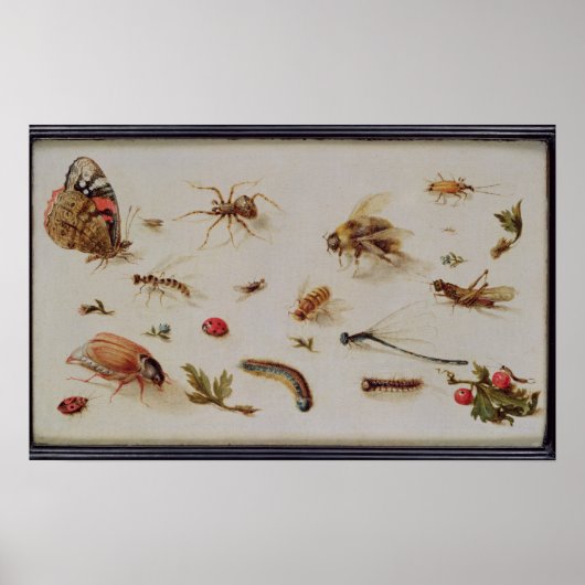 Poster Étude des insectes (Devant)