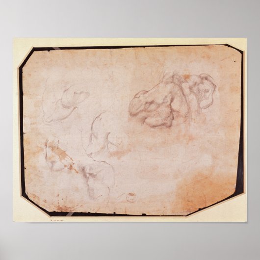 Poster Étude des muscles (Devant)