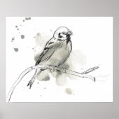 Poster Étude des oiseaux de la nature (Devant)