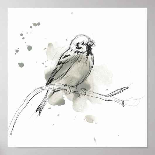 Poster Étude des oiseaux de la nature (Devant)