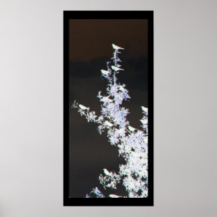 Poster Étude d'oiseaux