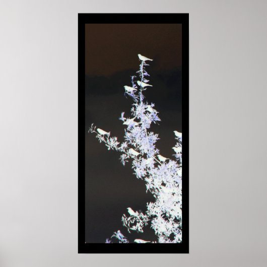 Poster Étude d'oiseaux (Devant)