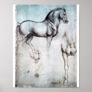 Poster Étude du cheval, Léonard de Vinci