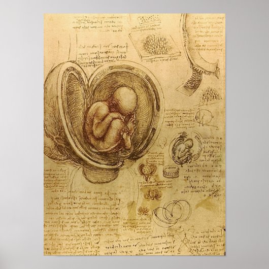 Poster Étude du foetus de bébé par Leonardo da Vinci (Devant)