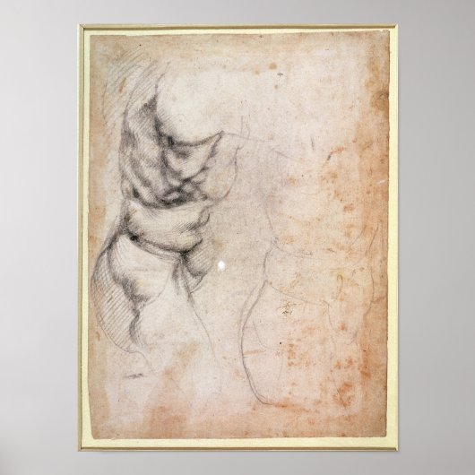 Poster Étude du torse et de la fesse (Devant)