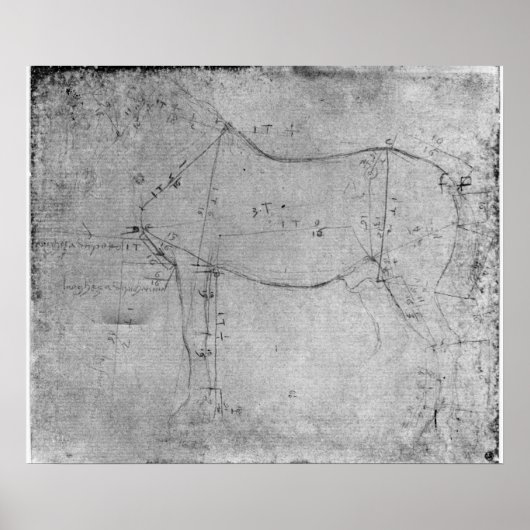 Poster Étude d'un cheval (Devant)