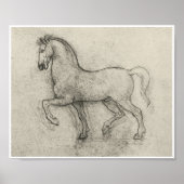 Poster Étude d'un cheval, Léonard de Vinci (Devant)