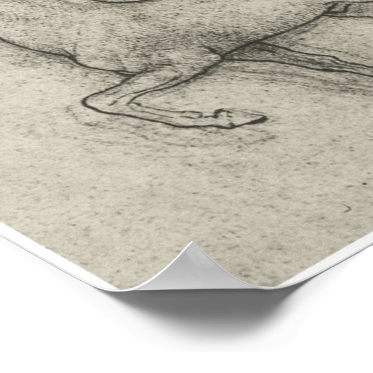 Poster Étude d'un cheval, Léonard de Vinci (Coin)