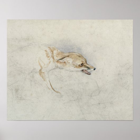 Poster Étude d'un renard croustillant, face à droite vers (Devant)