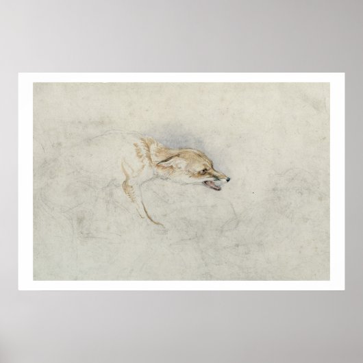Poster Étude d'un renard croustillant, face à droite vers (Devant)