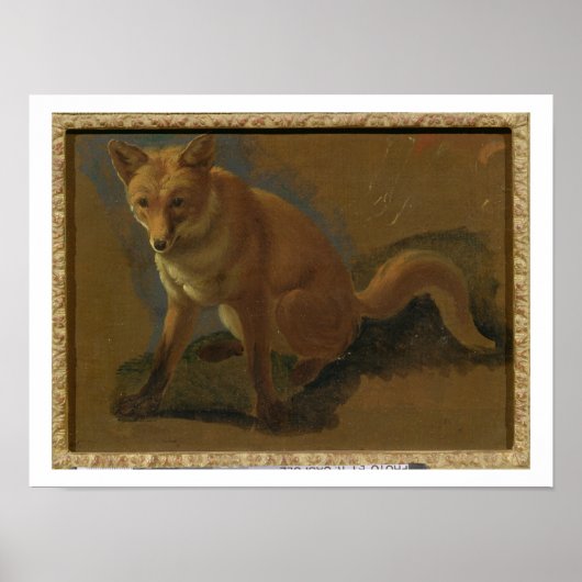 Poster Étude d'un renard (huile sur panneau) (Devant)
