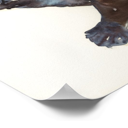 Poster Étude Otter II - "Talisker" (Coin)