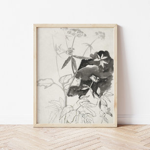 Poster Étude plante   Carel Adolph Cachet