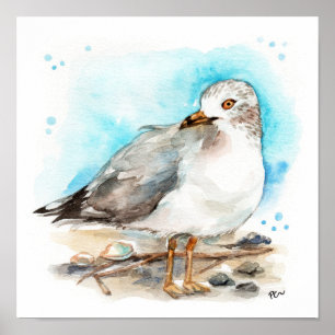 Poster Étude sur la mouette 2