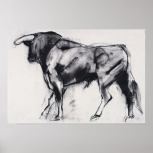 Poster Étude Toro Azul