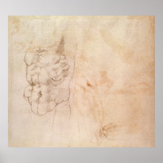 Poster Étude Torso (Devant)