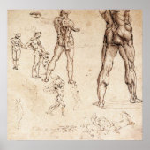 Poster Études anatomiques (Devant)
