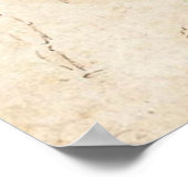 Poster Études anatomiques (Coin)