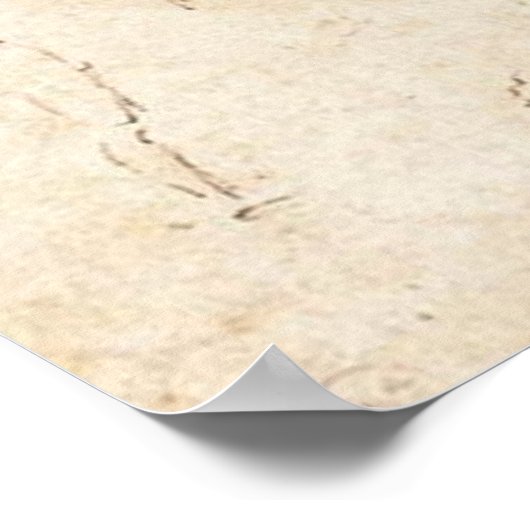 Poster Études anatomiques (Coin)