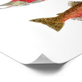 Poster Etudes aquarelles du Saumon (Coin)