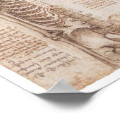 Poster Etudes de squelette, Leonardo Da Vinci, 1510 (Coin)