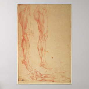 Poster Études des jambes et des armes