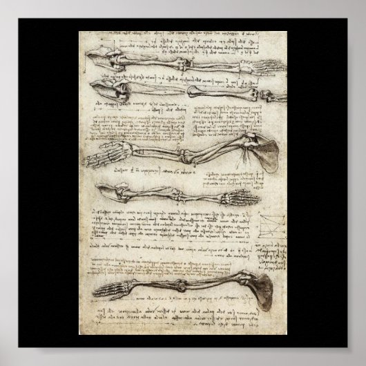 Poster Études du bras par Leonardo Da Vinci c. 1510 (Devant)
