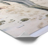 Poster Études sur les animaux (Coin)