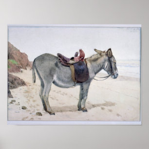 Poster Études sur les animaux