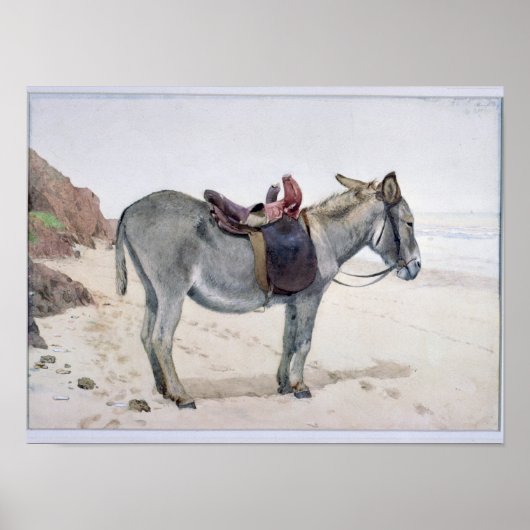 Poster Études sur les animaux (Devant)