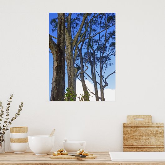 Poster Eucalyptus (Cuisine)