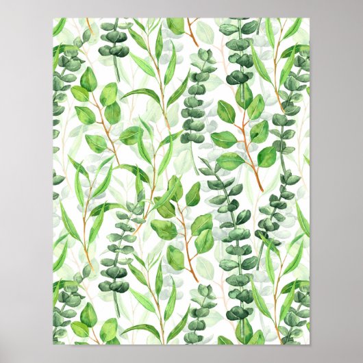 Poster Eucalyptus (Devant)