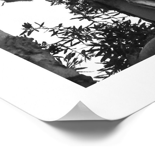 Poster Éucalyptus (Coin)