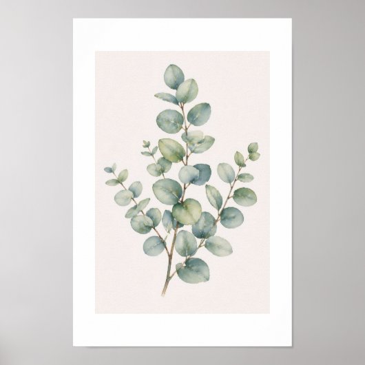 Poster Eucalyptus (Devant)