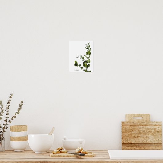 Poster Eucalyptus (Cuisine)