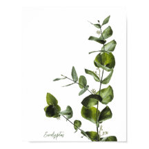 Poster Eucalyptus