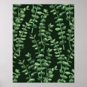 Poster Eucalyptus 2 (Devant)