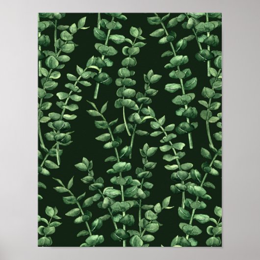 Poster Eucalyptus 2 (Devant)