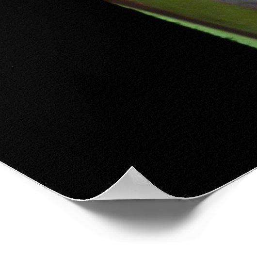 Poster Eucalyptus arc-en-ciel 1 (Coin)