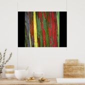 Poster Eucalyptus arc-en-ciel 1 (Cuisine)