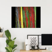 Poster Eucalyptus arc-en-ciel 1 (Bureau à domicile)