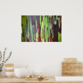 Poster Eucalyptus arc-en-ciel 1 (Cuisine)