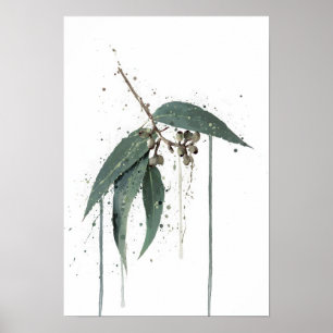 Poster Eucalyptus’ (Australien)