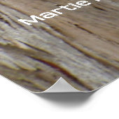 Poster Eucalyptus Bark (Coin)