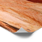 Poster Eucalyptus Bark (Coin)