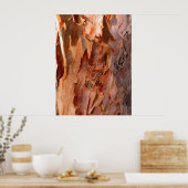 Poster Eucalyptus Bark (Cuisine)