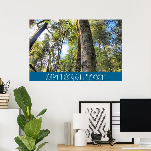 Poster Eucalyptus gommiers de la forêt pluviale australie (Bureau à domicile)