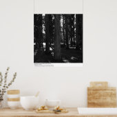 Poster Eucalyptus Grove, UC Berkeley, 1967 (Cuisine)