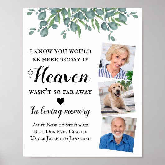 Poster Eucalyptus Souvenir Affectueux 3 Photo Mémorial Ma (Devant)