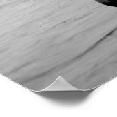 Poster Euclid Beach, Cleveland, 1905 (Coin)